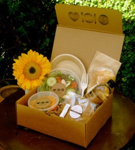 Picnic Box