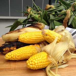 Corn, Hollywood Bowl 