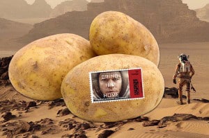 damon potato