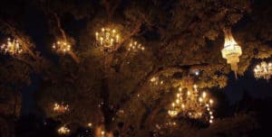 chandelier-tree-silver-lake