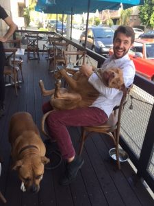 dog-friendly brunch long beach