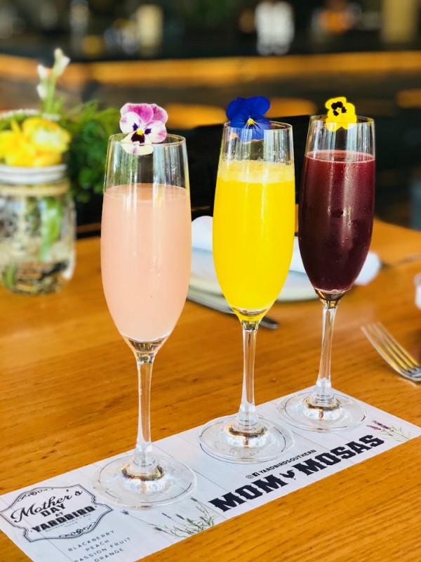 Mimosa Flight_Mother's day_yardbird