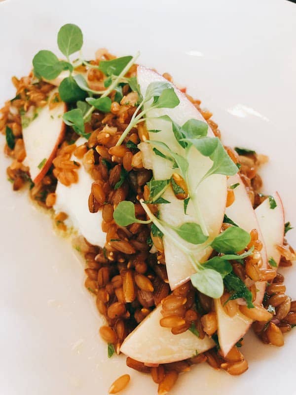 Hippo Restaurant Burrata with Rye Berries
