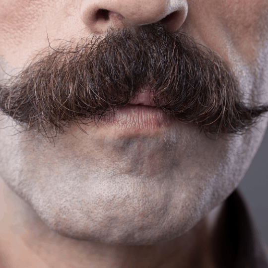 Handlebar Mustache Highland Park