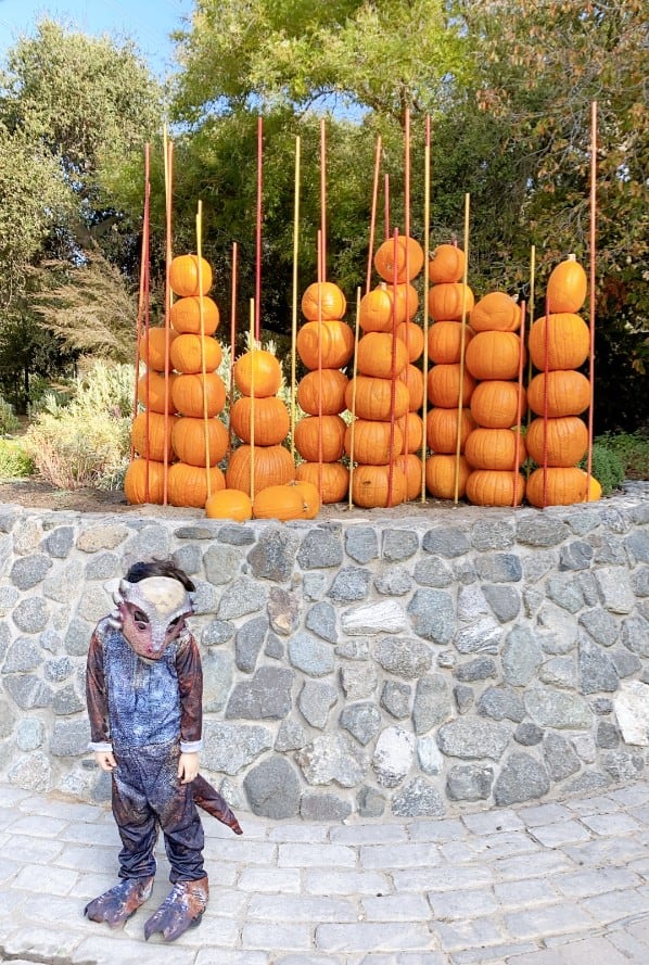 Navi at Descanso Gardens Hallowee