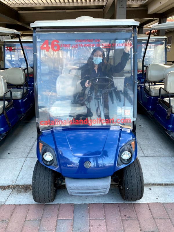 Catalina-Island-Golf-Cart-Rentals-and-Tours