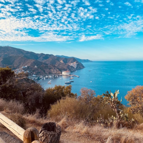 Catalina Island View Shot