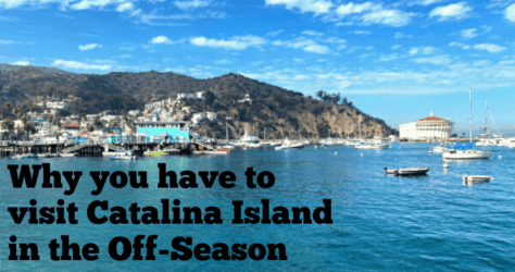 Catalina Island in the Off-Season: Why it’s the Perfect Escape that’s Still Close to Home