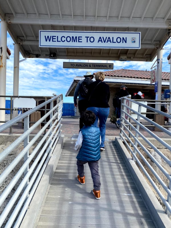 Navi arrives in Avalon