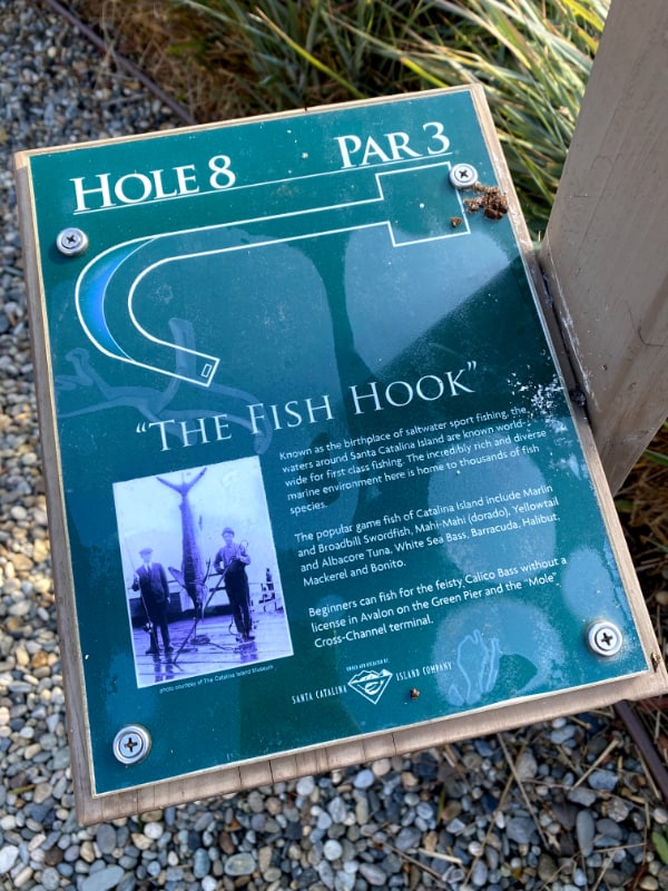 The-Fish-Hook-Golf-Hole
