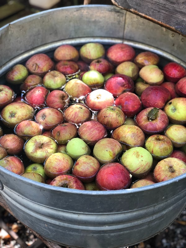 apple picking