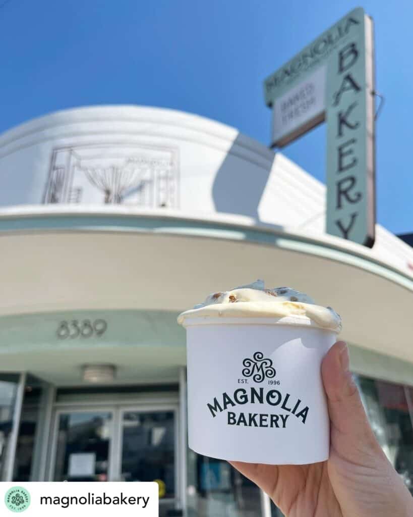 Magnolia Bakery Vegan Banana Pudding