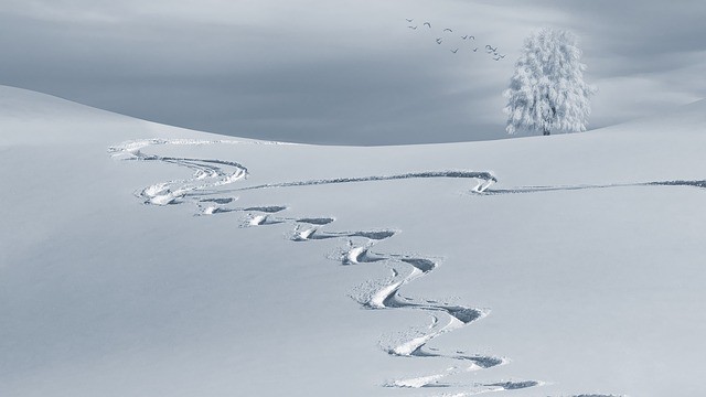 snow path