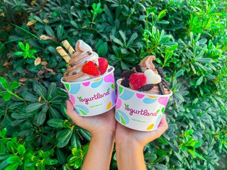 Yogurtland BOGO Flavors