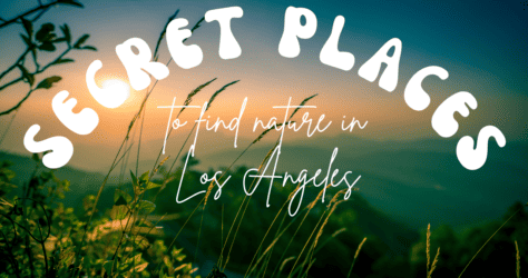 Secret Places to Find Nature in Los Angeles