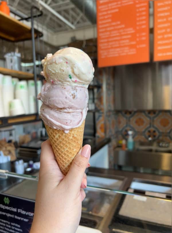 Rori's National Ice Cream Day 2