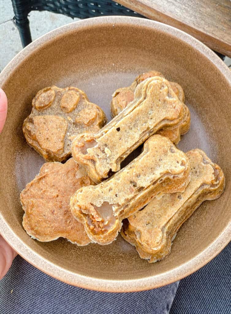 Pup Power Bowl Fuego Restaurant 