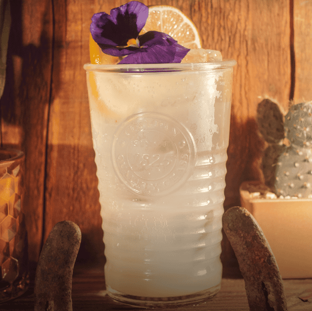 Desert 5 Spot - National Tequila Day